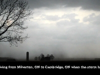 Milverton Rains
