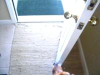 Freda Waiting For Mom