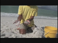 Sandcastles