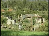 CEPAS, PESTALOZZI ECUADOR (1/2)