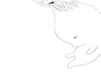 Seed
