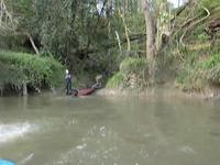 Tomos Diving