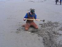 Clamming in Seaside