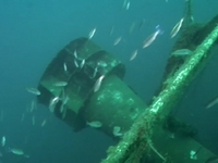 10340896_200.jpg