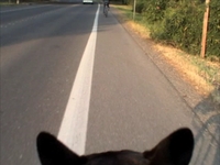 After work bike ride in the neighborhood