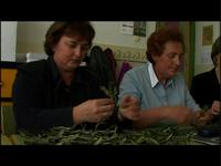 Nosotras Mujeres