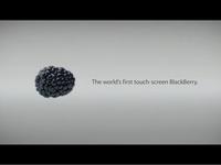 Blackberry Bullet Spec Spot