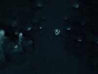 stasis