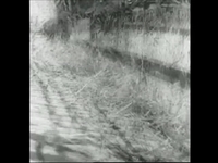 Balmorhea - Coahuila
