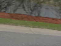 Delvcam Test 1