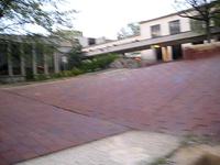 5050stallll