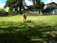 Arthur / Max 1