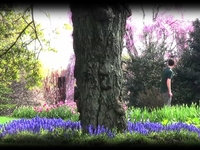Sun in Parck