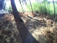 Swinley Forest Labyrinth run 03 - short...