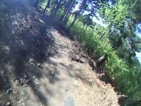 Swinley Forest Labyrinth run 01 - no crash