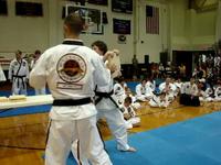 Board Breaking Demo