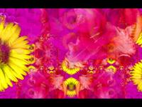 Generative Flowers III test render