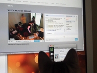 Nadya likes watching wktv
