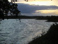 Alentejo Florido 2009