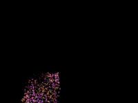 Trapcode Form Test
