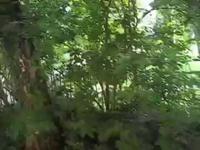 Stuttgart by Bike