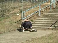 adam bazydlo falling REALLY bad