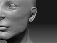 woman head workflow