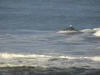 Tamargueira e Pedra Grande