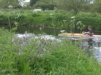 Down By The River