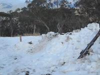 Mt Buller Shred May 2 2009