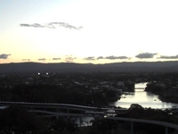 Larkies in the Gold Coast