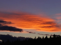 windy sunset