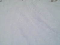Seth Miller handcam in Smuggs trees