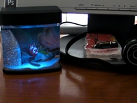 Aquarium USB