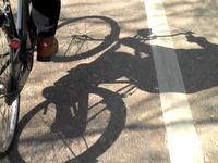 City, Coast, Countryside Circuit Ride