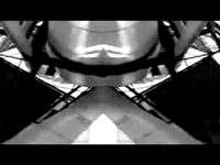 ROBODOX