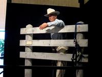 Animatronic LBJ at LBJ museum