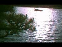 Neud Photo - pale flares