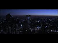 Experimental Video Experimental Video