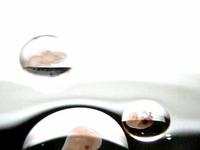Liquidrop of Life