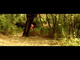 Ver Corto