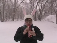 rabbit in the winter.