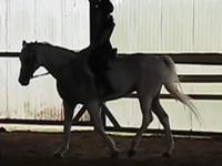 the goods and bads of riding :]