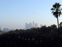 LA Traffic and future obligations