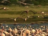 The Leicester- Lake Bogoria Link
