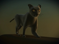 Gata _ test