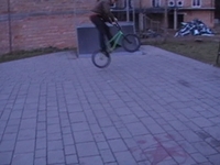 Najeba Skawina
