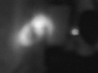 Nightmare at Midnight