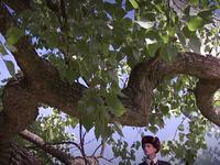 Campaña John L. Cook Inv09-Spot 1