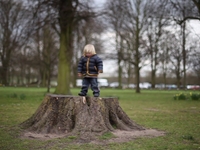 Stump